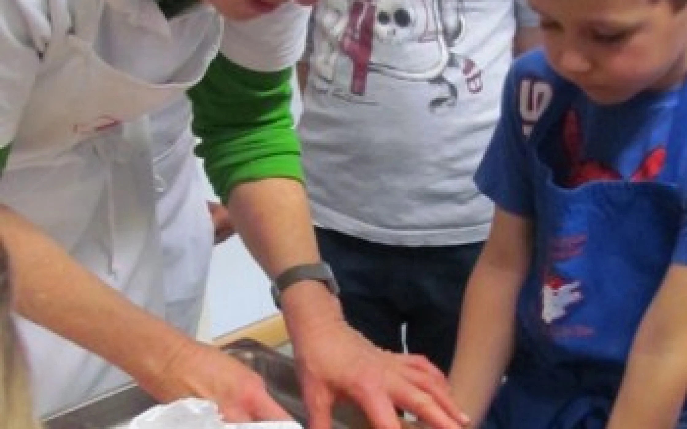 Gs Schabs 4_337x600.JPG